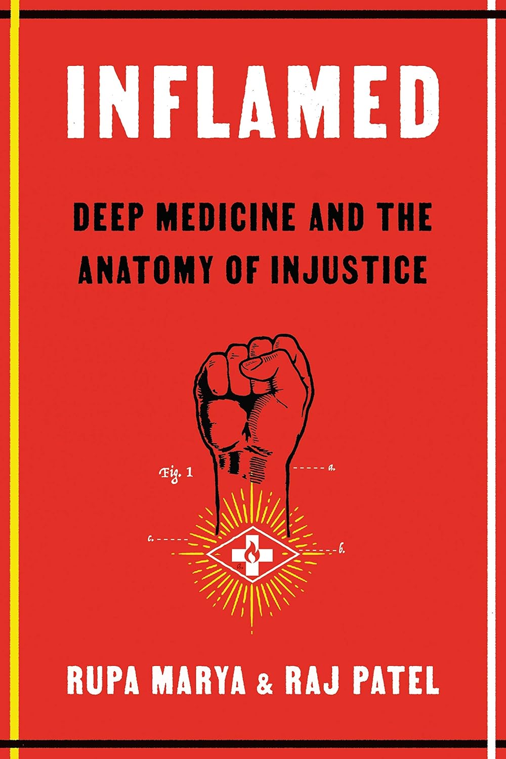 Book: Inflamed: Deep Medicine and the Anatomy of Injustice by Rupa Marya & Raj Patel