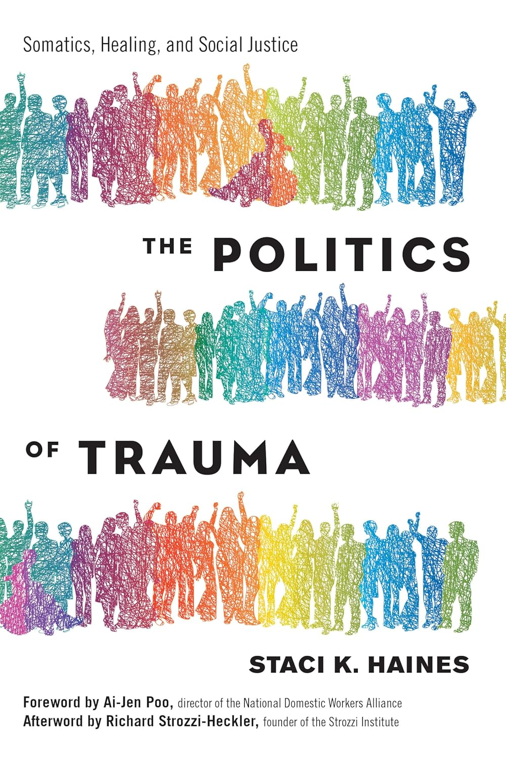 Book: The Politics of Trauma by Staci K. Haines 